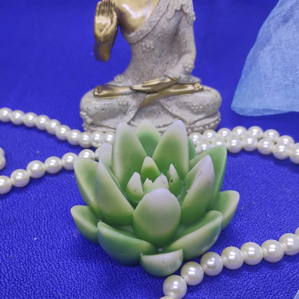 Succulent candle  #2