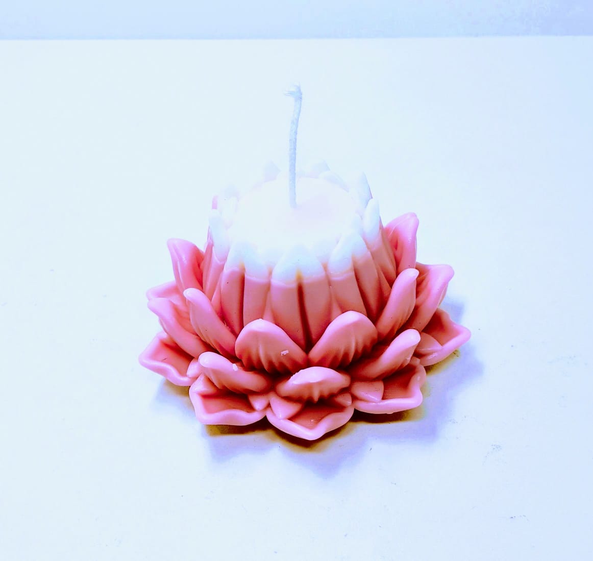 lotus candel